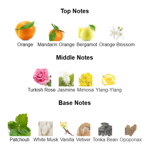 02266f8e Coco Mademoiselle Chanel 100ml