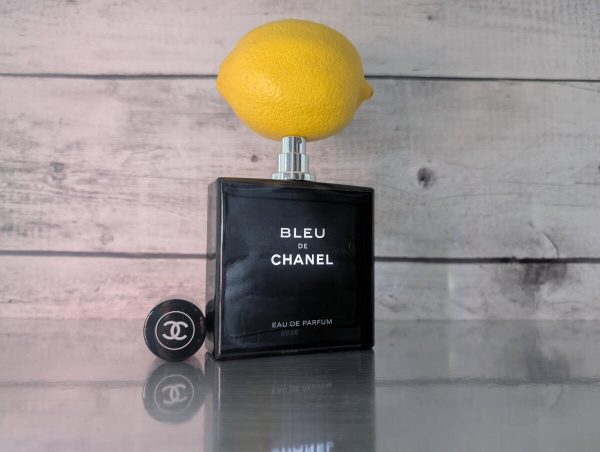 02c3a48d Bleu de Chanel Eau de Parfum Chanel 100ml