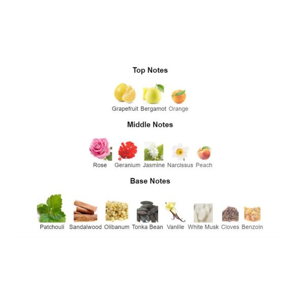 46fbe953 Coco Noir Chanel for women 100ml