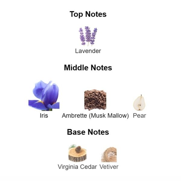 5f713afd Dior Homme Intense Dior 100ml