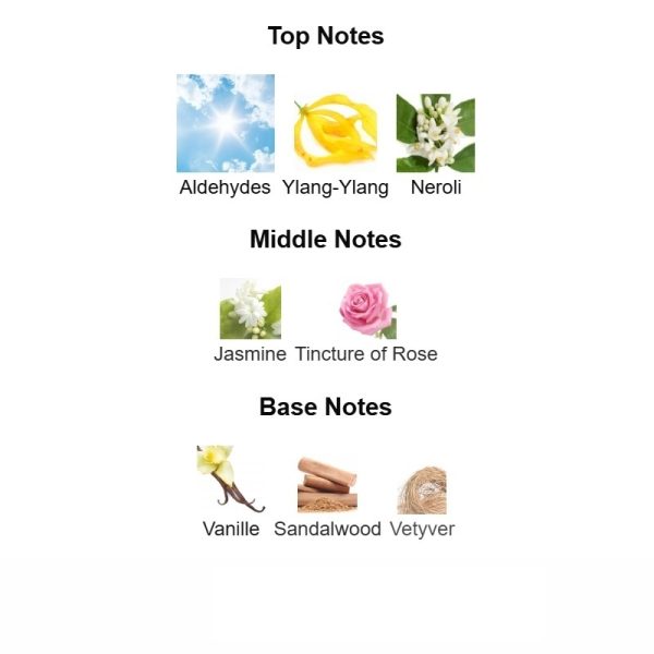 9bc564f2 Chanel N°5 Eau Premiere Chanel 100ml