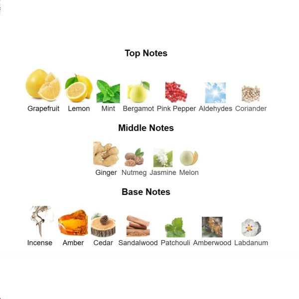 ad2f22b3 Bleu de Chanel Eau de Parfum Chanel 100ml