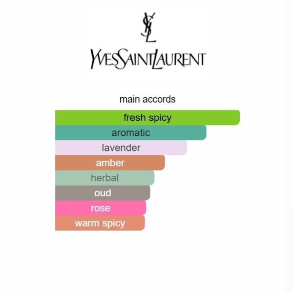 Y Elixir Yves Saint Laurent 100ml - Image 5