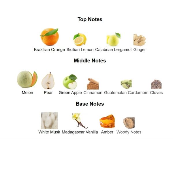 b433c8bf Erba Gold Xerjoff 100ml