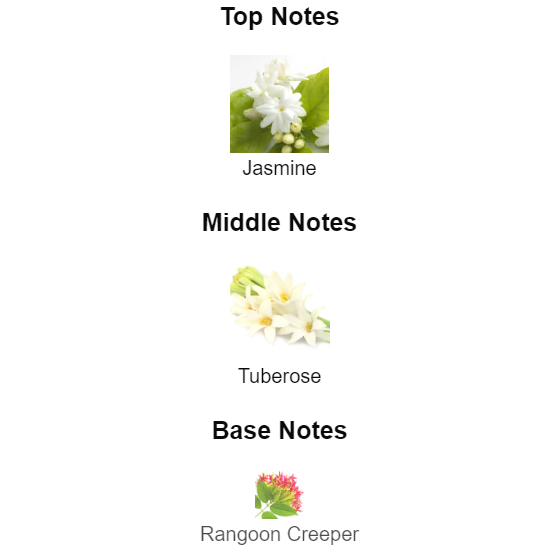 Gucci Bloom Gucci 100ml