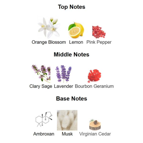 fa772c9d Versace Man Eau Fraiche Extreme Versace 100ML